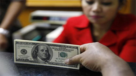 الدولار يستقر بالتعاملات الرسمية للبنوك المصرية