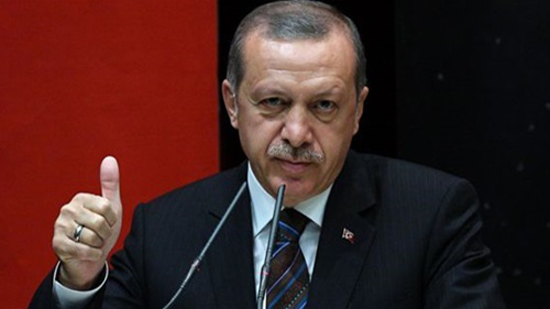 أردوغان يدعو أحزاب تركيا للتصويت بـ