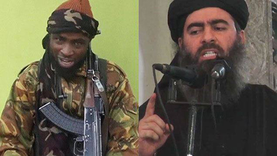 الأزهر: بوكو حرام تسير على خطى داعش وكلاهما في الضلال سواء