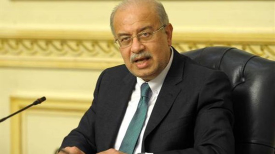 رئيس الوزراء: مصر تدعم كافة الجهود العربية والدولية لمكافحة الإرهاب
