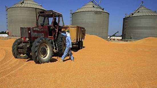 وضع خطة أمنية بالتنسيق بين «الزراعة» و«الأمن» لتأمين صوامع القمح بالوادي الجديد
