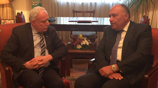 وزير خارجية فلسطين يشكر مصر لجهودها في القضية الفلسطينية