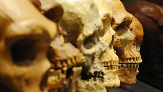  دراسة تثبت وجود آثار للأسبرين في أسنان إنسان عصور ما قبل التاريخ