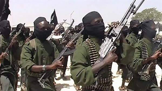 الإفتاء تدين مقتل 50 شخصًا بأيدى الجماعات الإرهابية فى إفريقيا وتدعو لمواجهة المسلحين
