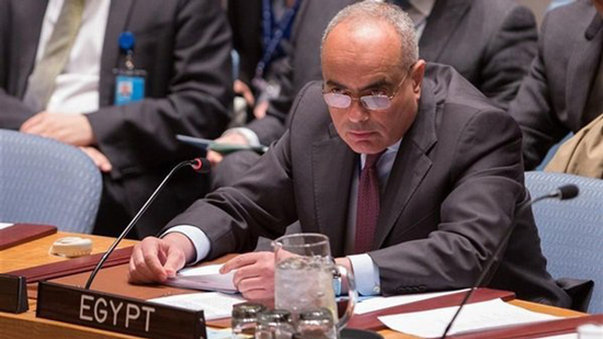 مندوب مصر في مجلس الأمن: التسوية في سوريا ممكنة إذا كانت النوايا حقيقية