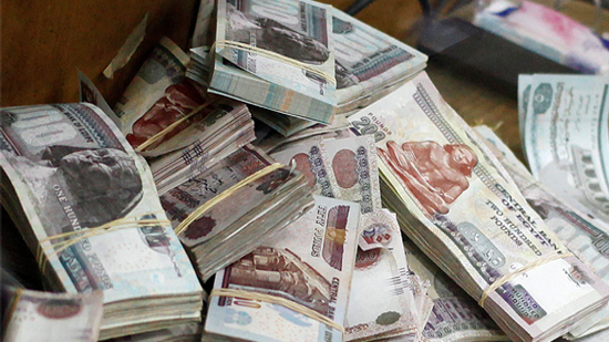 خبير اقتصادي: ارتفاع الاحتياط النقدي يعكس قدرة مصر على الوفاء بالتزاماتها الدولية