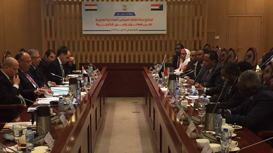 وزير الخارجية يترأس وفد مصر في لجنة المشاورات السياسية مع السودان