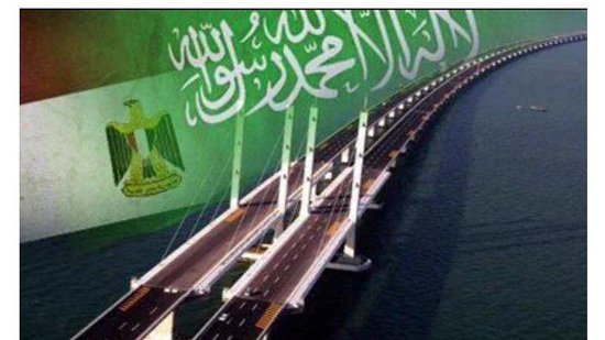  باحث سعودي : جسر الملك سلمان سيحقق طفرة اقتصادية لمصر والمملكة
