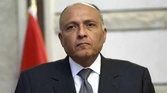وزير الخارجية يتوجه إلى أكرا حاملا رسالة من الرئيس السيسي إلى الرئيس الغاني