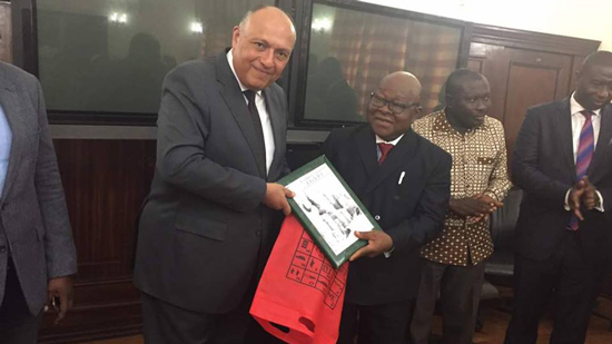 وزير الخارجية يلتقي رئيس البرلمان الغاني