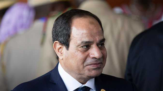 أسوشيتدبرس : تحالف مصر مع الخليج دفعة قوية للسيسي