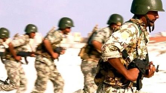  نذار قنديل: مصر تؤيد التلويح بالخيار العسكري ضد قطر 