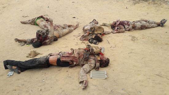 جثث الإرهابيين في حادث سيناء 