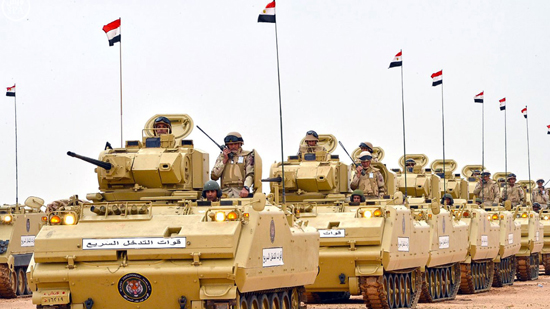 علاقة الجيش المصري 