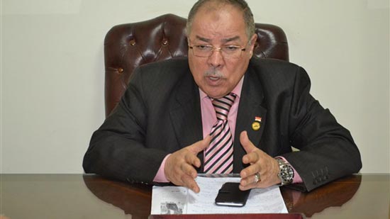 إسماعيل نصر الدين، عضو مجلس النواب