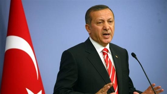 أردوغان يطالب قادة الدول الإسلامية بالتصدي لإسرائيل
