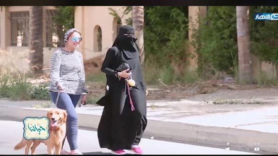 بالفيديو.. سبب ارتداء ابنة حسن أبو السعود للنقاب