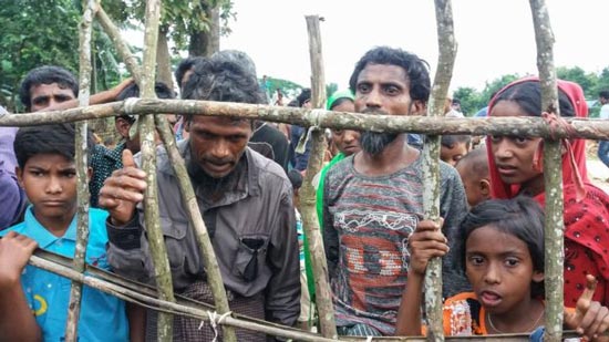 الإفتاء تدعو لاستمرار الضغوط الدولية على ميانمار بشأن مسلموا الروهينجا