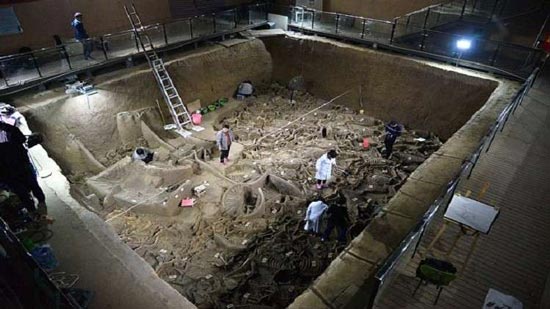 اكتشاف مقبرة ملكية أثرية سكانها ليسوا بشرا! (صور)