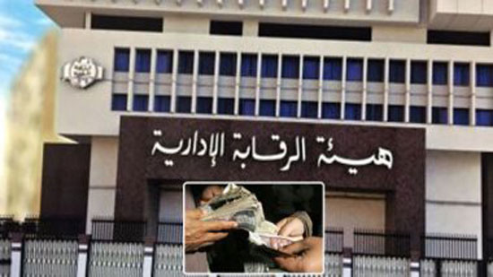الرقابة الإدارية تعلن ضبط رئيس مجلس إدارة شركة النصر للتعدين بقضية فساد
