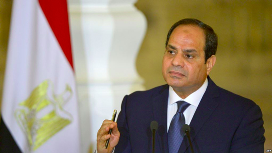 الجالية المصرية بالنمسا: نؤيد الرئيس عبد الفتاح السيسى لاستكمال مسيرة الإنجازات