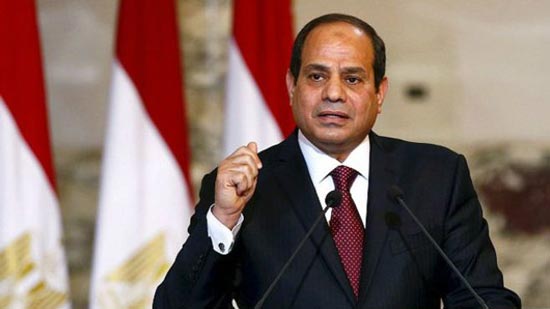 المصريين بالخارج : السيسي حمي مصر من حرب أهلية 
