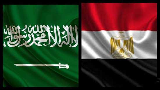 المتحدث باسم الرئاسة: تأسيس صندوق استثماري مصري سعودي بـ ١٦ مليار دولار