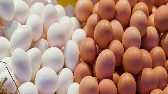 أسعار البيض في الأسواق اليوم الأربعاء 28-3-2018
