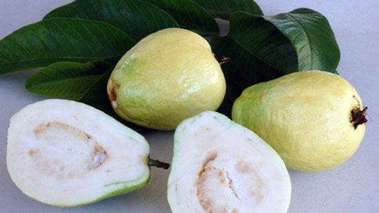 السعودية ترفع الحظر على استيراد الجوافة المجمدة والمصنعة من مصر