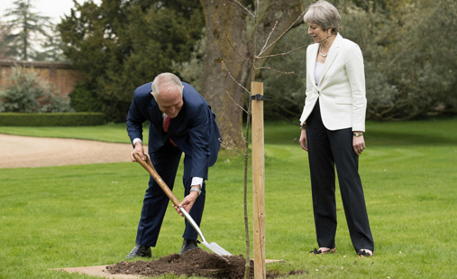 رئيس وزراء أستراليا يزرع شجر البلوط 