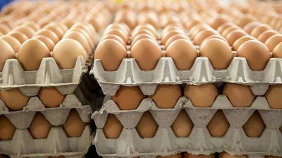 أسعار البيض في الأسواق اليوم الأحد 22-4-2018