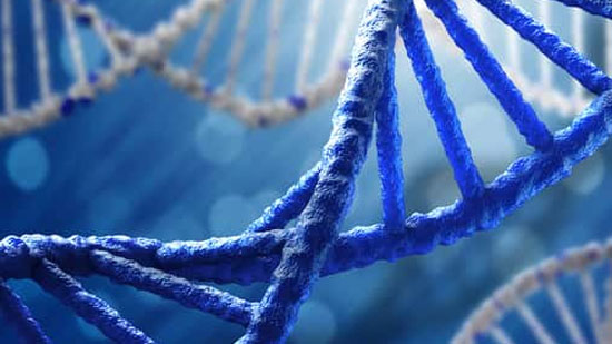علماء يكتشفون شكلا جديدا من الحمض النووي