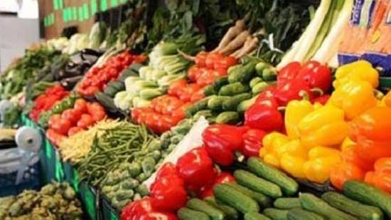  فيديو.. تعرف على أسعار الخضراوات والفاكهة في سوق الجملة