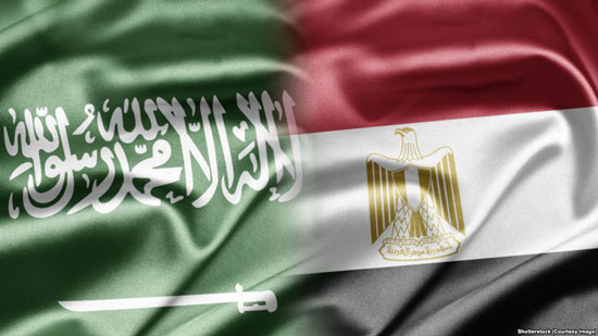 مصر والسعودية يبحثان الربط الإلكتروني في مجال القوى العاملة