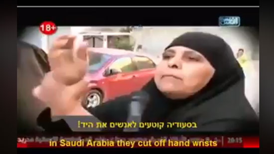 بالفيديو.. سيدة مصرية: عساكر إسرائيليين أعطوا زوجة عمي طعام عام 1967