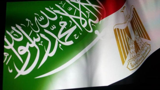 السعودية تعلن حجم الاستثمارات المتبادلة مع مصر