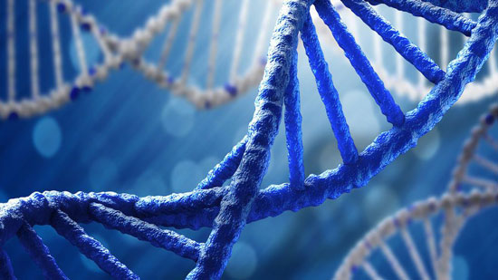  دراسة حديثة تكشف إمكانية إصلاح العيوب من خلال الحمض النووي