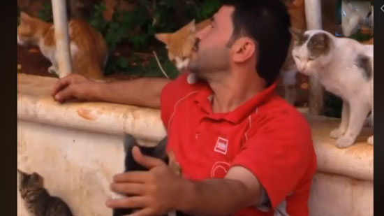 بالفيديو.. سوري يهتم بإنقاذ القطط في وسط نيران الحرب