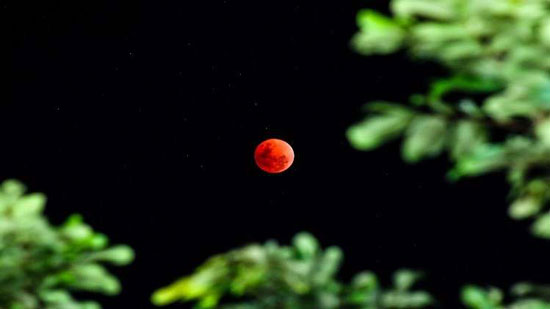 القمر الدموي يطل على الأرض تزامنا مع ظاهرة فلكية فريدة!
