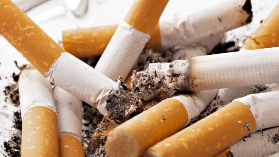 شعبة الدخان تكشف السبب وراء زيادة أسعار التبغ والسجائر