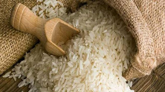 الأرز.. ومشروعات الاستصلاح