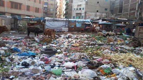 مسن يأكل من القمامة بالقاهرة يثير غضب النشطاء (فيديو)