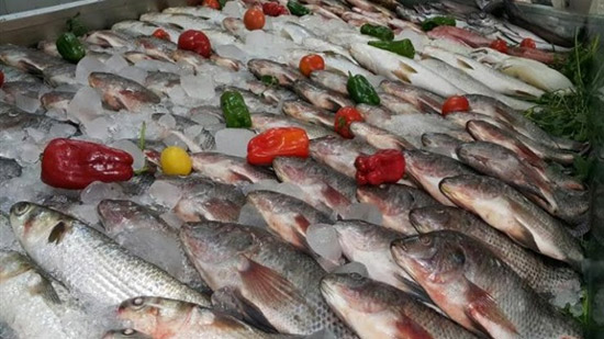 أحمد جعفر: فرض رسم الصادر سيخفض أسعار الأسماك بنسبة 40%