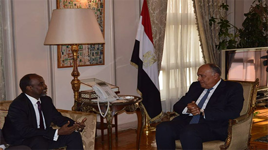  وزير الخارجية يؤكد دعم مصر لمنظمة التعاون الإسلامي 