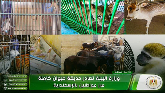  وزارة البيئة تصادر حديقة حيوان كاملة من مواطنين بالإسكندرية!