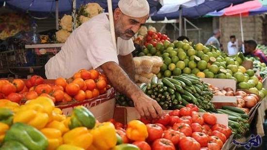 وزير التموين: ارتفاع أسعار الخضر والفاكهة سببه غياب كيانات منظومة التجارة
