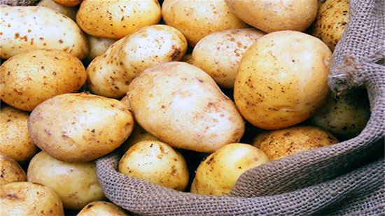 فيديو.. وزارة الزراعة: أزمة البطاطس تنتهي تماما الشهر المقبل
