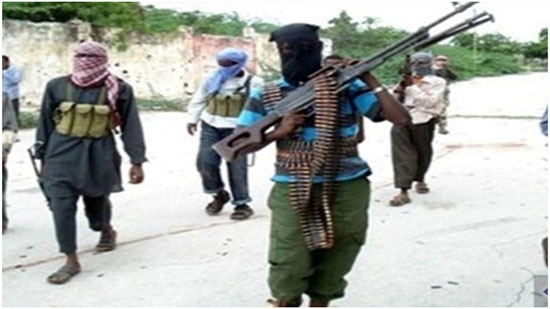 جماعة مسلحة مجهولة تخطف 15 فتاة في النيجر
