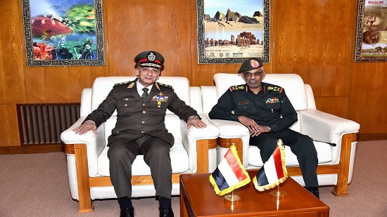 وزير الدفاع يعود إلى مصر بعد زيارة رسمية للسودان
