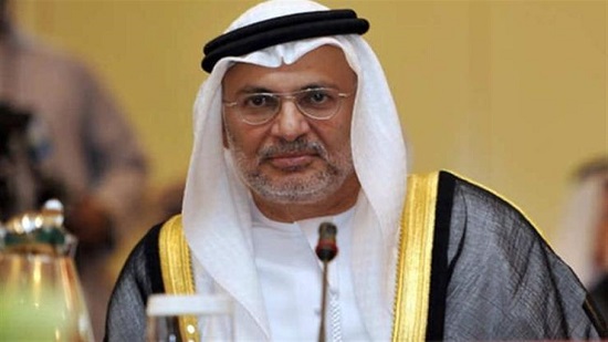 وزير إماراتي: مجلس التعاون الخليجي مستمر رغم أزمة قطر
